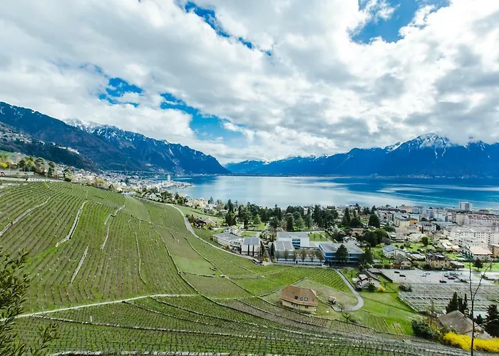 Chateau Du Chatelard *