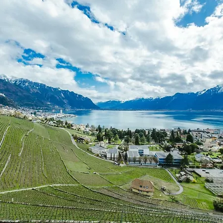 Chateau Du Chatelard *